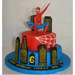 SPİDERMAN SPİDERMAN